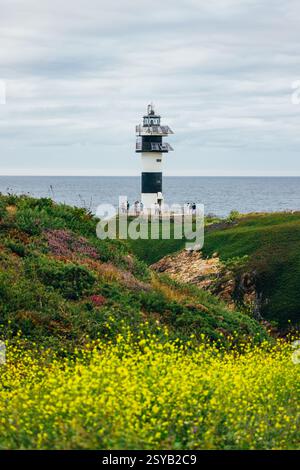 Un phare pittoresque se dresse sur une falaise côtière, surplombant l'océan serein. Des fleurs jaune vif fleurissent au premier plan, améliorant le na Banque D'Images