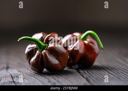 Deux poivrons habanero au chocolat mûrs (capsicum chinense) sur une table en bois rustique en gros plan Banque D'Images
