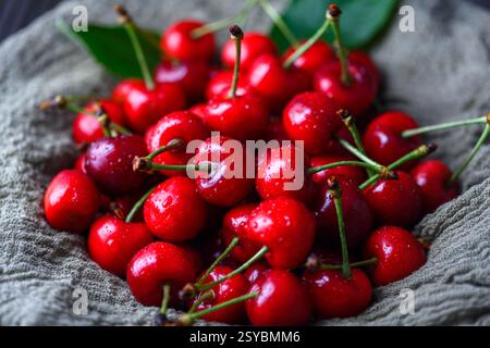 Tas de cerises rouges fraîchement lavées avec des gouttelettes d'eau en gros plan. Photographie culinaire Banque D'Images