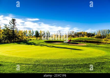 Terrain de golf avec une zone herbeuse verte et un drapeau rouge. Le drapeau est au sol Banque D'Images
