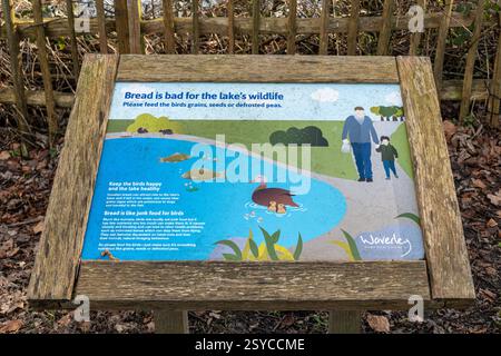 Avis indiquant que le pain est mauvais pour la faune du lac à Broadwater Park, Surrey, Angleterre, Royaume-Uni Banque D'Images