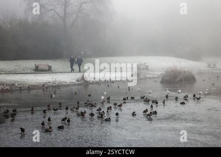 Deux hommes marchent au bord des eaux d'un étang gelé avec de nombreux oiseaux assis sur la glace, Clarence Park, Bury, Greater Manchester. Banque D'Images