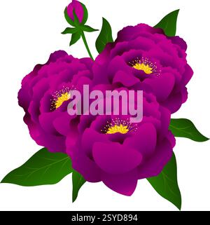 Pivoines violettes en bouquet. Illustration de Vecteur