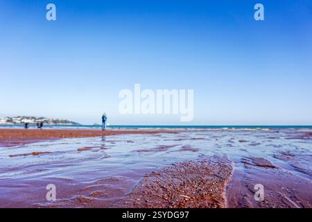 Promenade de chien sur la plage de Preston Sands à Paignton sur la Riviera anglaise dans le Devon, Royaume-Uni Banque D'Images