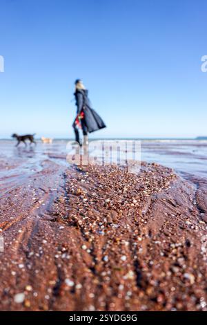 Promenade de chien sur la plage de Preston Sands à Paignton sur la Riviera anglaise dans le Devon, Royaume-Uni Banque D'Images