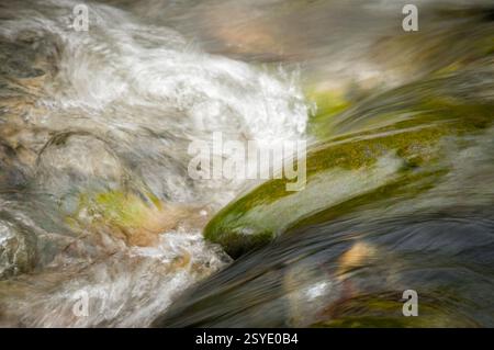 L'eau se précipite sur des pierres arrondies, créant de douces ondulations et une atmosphère tranquille dans un environnement naturel luxuriant. Banque D'Images