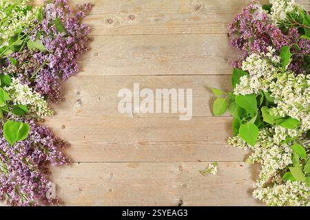 Frame Made Lilas branches Wooden table abstraite composition florale fond plat carte de fête des mères, journée des femmes, joyeux anniversaire, mariage, lieu fo Banque D'Images