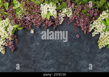 Arrangement floral abstrait plat pose, fond, bannière de printemps. Cadre fait de branches de lilas sur une table grunge sombre. Carte de fête des mères, journée des femmes, ha Banque D'Images