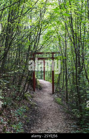 Sunstar sur une ruine de château – nature dans les montagnes du Jura Banque D'Images