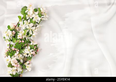 Belles branches de pommier florissantes au printemps sur fond ensoleillé élégant. Arrangement floral abstrait et bannière pour écran, nature morte avec place Banque D'Images