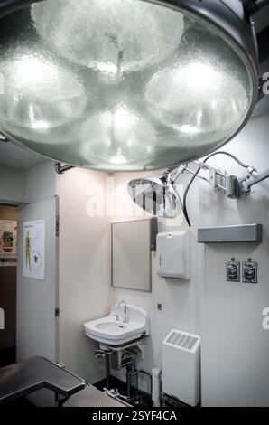 L'USNS Savannah fut le premier navire marchand et à passagers de la marine nucléaire. Il est amarré à Baltimore. Banque D'Images