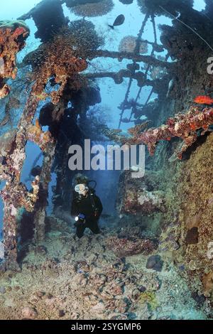 Diver explore British Loyalty, épave, naufrage, torpillé le 09.03.1944 par l'U-183, lourdement endommagé, coulé le 15.01.1946, Océan Indien, Atoll Addu également Banque D'Images