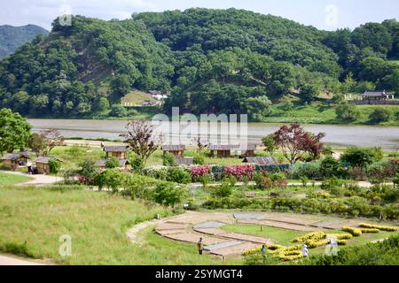 Ville de Gongju, Corée du Sud - 27 mai 2021 : un jardin au bord de la rivière dans le centre-ville de Gongju fleurit avec des fleurs colorées et des structures traditionnelles, avec le Banque D'Images