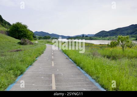 Gongju, Corée du Sud - 27 mai 2021 : une piste cyclable sinueuse suit le bord de la rivière Geum, entourée d'herbes sauvages et de fleurs jaunes, offrant un Banque D'Images