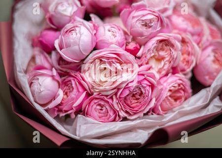 Magnifique bouquet de ranoncule rose en gros plan Banque D'Images