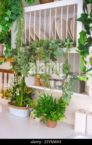Coin cuisine élégant avec des plantes, des ustensiles et des balances vintage pour une atmosphère printanière confortable. Plantes décoratives vertes, décoration à la maison pour Pâques holid Banque D'Images