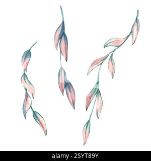 Feuilles tropicales et lianes. Illustration aquarelle de feuilles dans des couleurs pastel rose et vert. Modèle de feuilles tropicales pour carte postale et invitation de Banque D'Images