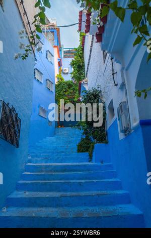escalier bleu lavé montant entre les bâtiments dans une rue étroite, avec des aperçus de verdure Banque D'Images
