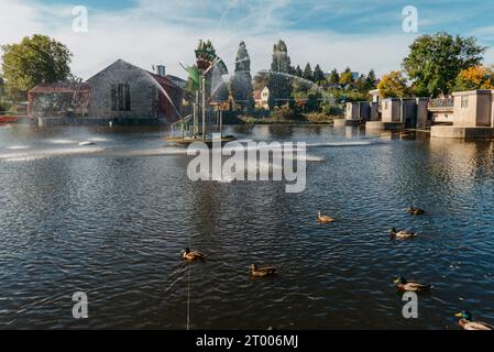 Canards sur le lac dans le parc. Garez-vous à l'automne. Arbres d'automne. Les canards sauvages se reflètent dans le lac. Plumes d'oiseau multicolores Banque D'Images