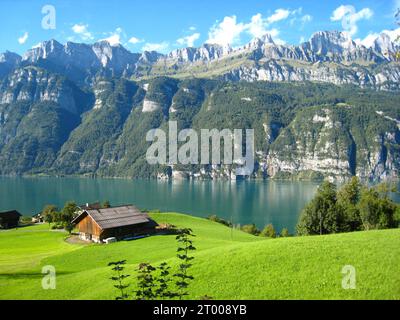 panorama avec le lac turquoise Walen en suisse. Montagnes enneigées, yachts, voiliers et maisons dans une belle prairie de fleurs vert pomme, Banque D'Images