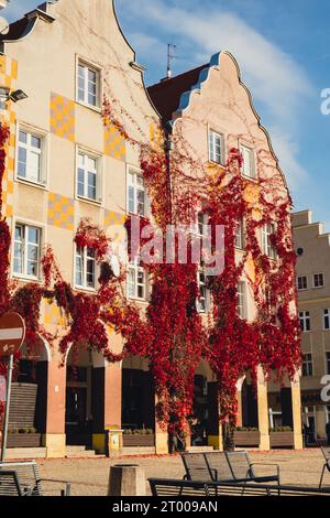 Olsztyn Pologne octobre 2022 célèbre attraction touristique architecture destinations de voyage à Olsztyn. Rue de l'ancien hôtel de ville sur le Th Banque D'Images