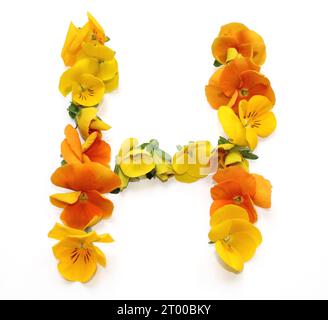 h, arrangements de fleurs naturelles avec de vraies fleurs fraîches jaune orange combiné alphabet de lettre pour le mariage de Saint-Valentin des mères cartes de remerciement Banque D'Images
