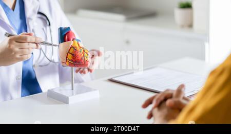 Cardiologie consultation traitement des maladies cardiaques. Médecin cardiologue en consultation montrant le modèle anatomique du HEA humain Banque D'Images