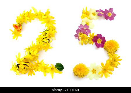 numéro fait à partir de fleurs jaunes, orange fraîchement cueillies. isolé sur fond blanc pour fête d'anniversaire, anniversaire Banque D'Images
