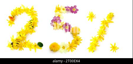 numéro fait à partir de fleurs jaunes, orange fraîchement cueillies. isolé sur fond blanc pour fête d'anniversaire, anniversaire, bonne année, pour cent, pierre Banque D'Images