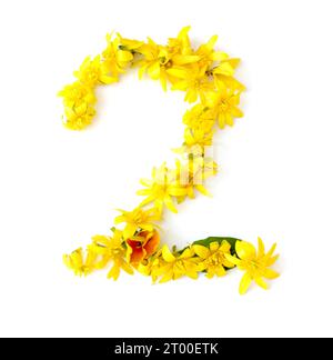 numéro fait à partir de fleurs jaunes, orange fraîchement cueillies. isolé sur fond blanc pour fête d'anniversaire, anniversaire, deux, vingt, 2, 20 Banque D'Images