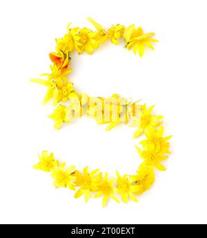 numéro fait à partir de fleurs jaunes, orange fraîchement cueillies. isolé sur fond blanc pour fête d'anniversaire, anniversaire, cinq, cinquante, 5, 50 Banque D'Images