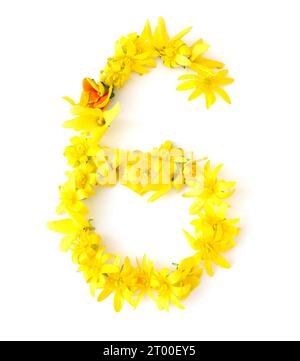 numéro fait à partir de fleurs jaunes, orange fraîchement cueillies. isolé sur fond blanc pour fête d'anniversaire, anniversaire, six, 60, soixante, 6, Banque D'Images