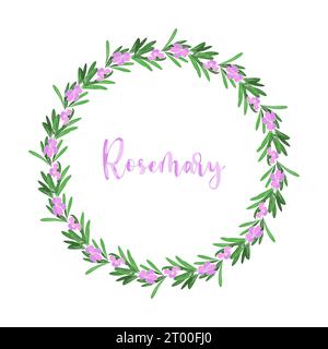 Branche de couronne de romarin avec des fleurs rose violette. Herbes provençales. . Illustration vectorielle Illustration de Vecteur