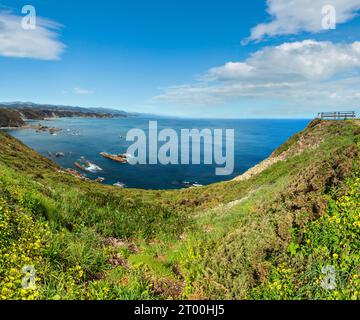 Floraison d'été Cap Vidio paysage littoral (côte des Asturies, Cudillero, Espagne). Banque D'Images