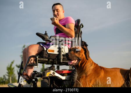 Portrait du chien-guide et d'un jeune homme en fauteuil roulant à l'aide d'un téléphone portable sur le fond. Banque D'Images