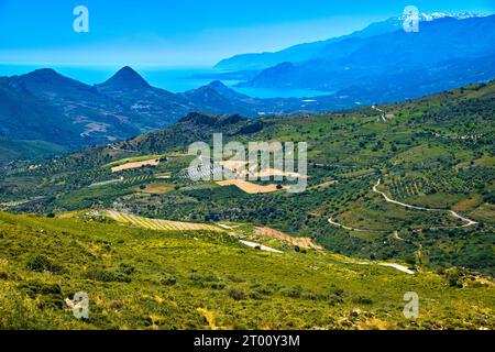 Paysage de jour d'été de l'île de Crète, Grèce. Hautes montagnes, sommets enneigés, collines verdoyantes, routes et plantations d'oliviers, hautes herbes, végétation et feuillage luxuriants. Mer Méditerranée, ciel bleu et nuages. Panorama idyllique par jour ensoleillé. Banque D'Images