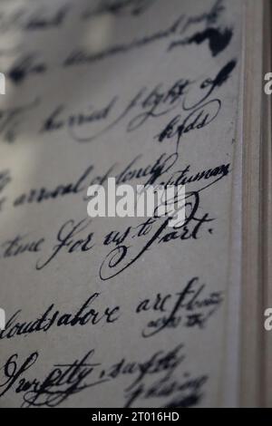 Lettres de calligraphie manuscrite anglaise, couple de colombe Banque D'Images