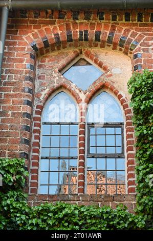 Plantes grimpantes sur la façade en briques du monastère médiéval de Wiehausen près de celle Banque D'Images