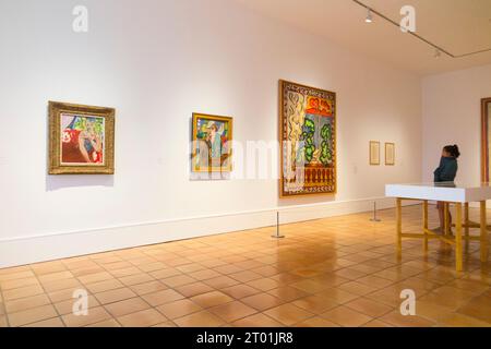 Salle présentant des peintures et d'autres œuvres sur le thème « Fauvisme ravivé » par l'artiste dans le bâtiment de la galerie du Musée Matisse à Nice, France. (135) Banque D'Images