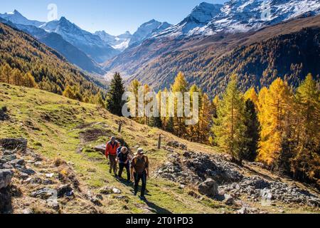 Trois marcheurs sur un chemin alpin dans les Alpes suisses avec des montagnes enneigées derrière Banque D'Images