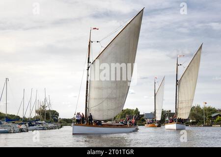 Célèbre Norfolk Wherries naviguant sur la rivière Bure, Norfolk Broads, East Anglia, Royaume-Uni Banque D'Images