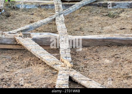 Vieilles poutres en bois endommagées reposent avec des clous rouillés coincés après la démolition de la grange. Grange. Banque D'Images