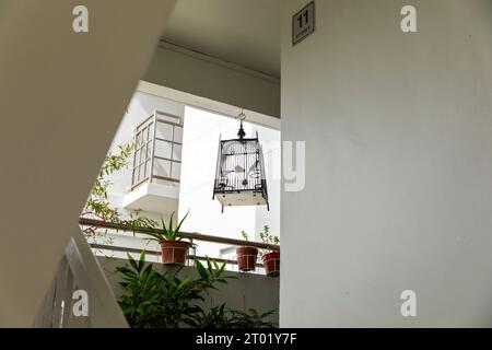 Un oiseau chanteur dans une cage, cage d'escalier de la propriété publique de l'Amirauté, Singapour. Banque D'Images