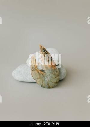 Crevettes et pierres sur fond beige. Placer pour le texte. Banque D'Images