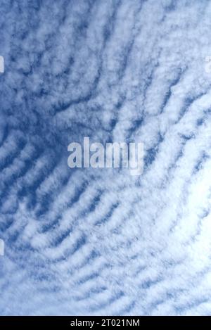 Nuages d'Altocumulus undulatus formant un motif d'effet d'ondulation Banque D'Images