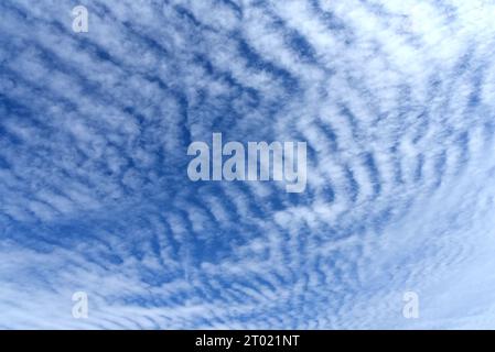 Nuages d'Altocumulus undulatus formant un motif d'effet d'ondulation Banque D'Images