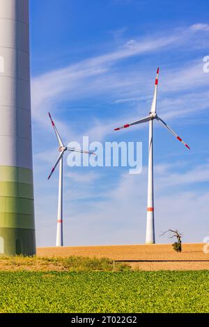 Énormes éoliennes d'un parc éolien dans un champ agricole sec à côté d'un petit arbre rabouté comme une image de portrait Banque D'Images