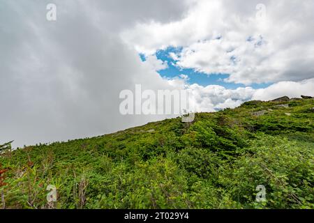 Paysage du Mont Washington, New Hampshire, USA Banque D'Images