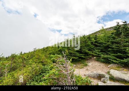 Paysage du Mont Washington, New Hampshire, USA Banque D'Images