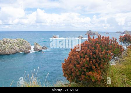 Paysage de la Costa Quebrada en Cantabrie, Espagne Banque D'Images